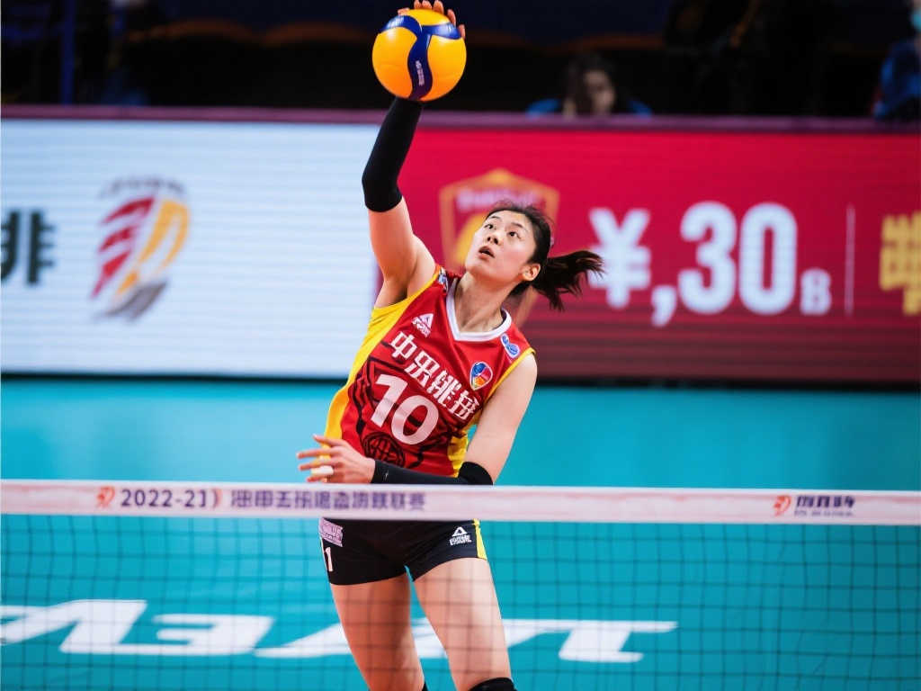 案例分析 案例分析